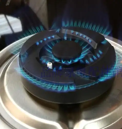 原装正品博世西门子灶具燃煤气灶头炉头分火器炉座燃烧器全铜火盖