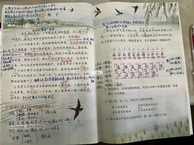 三年级下册第二课燕子笔记