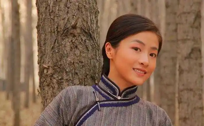 《战神》《战火四千金》《野山鹰》《胭脂》《雪豹》《兄弟》《小鬼子