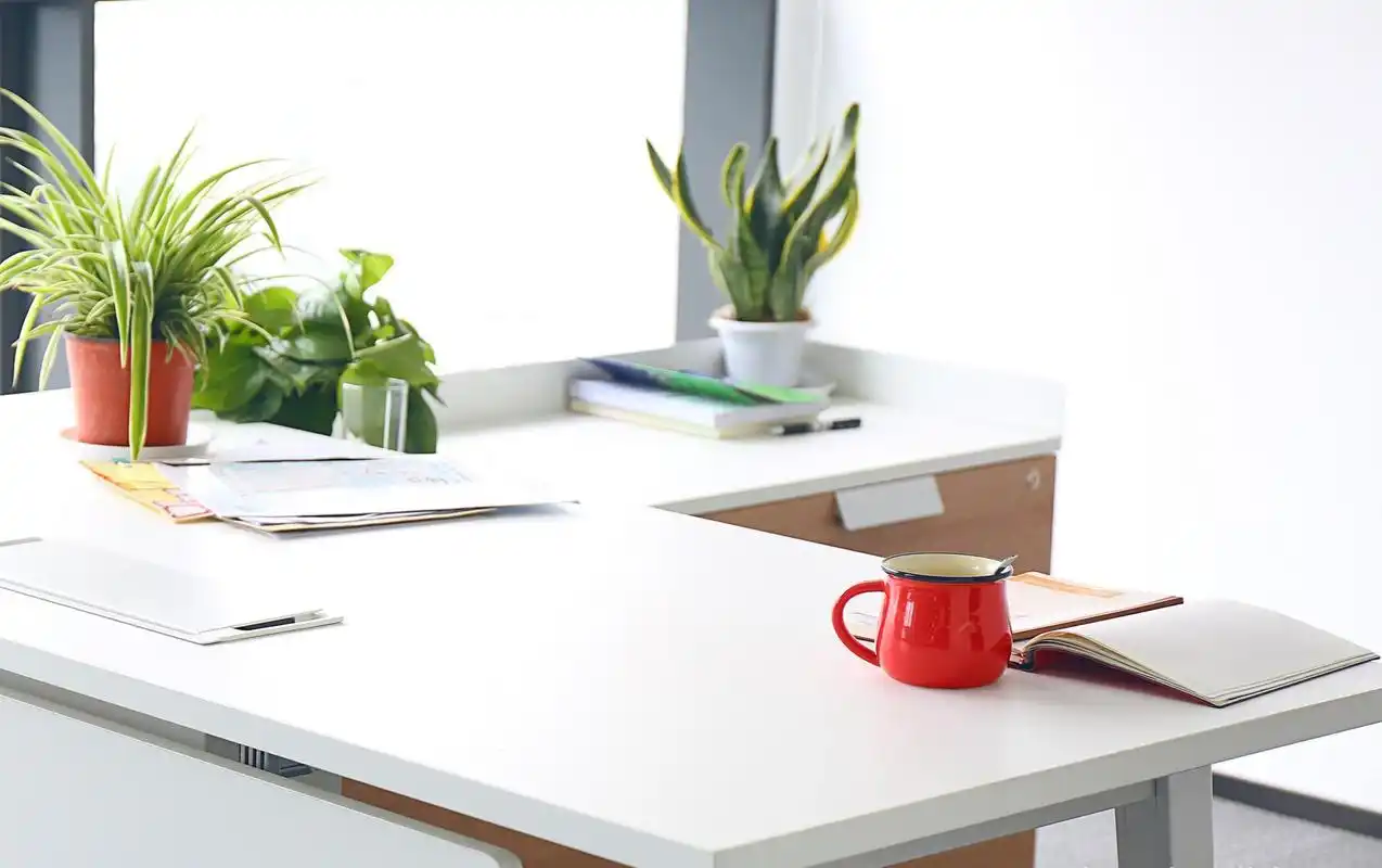 返工回来的你该整理办公桌了|桌面|抽屉|隔板_新浪新闻