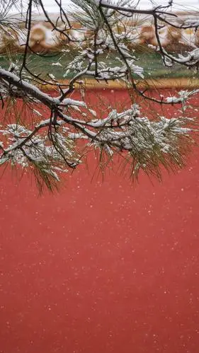 今日北京故宫又飘雪摄影@咬金