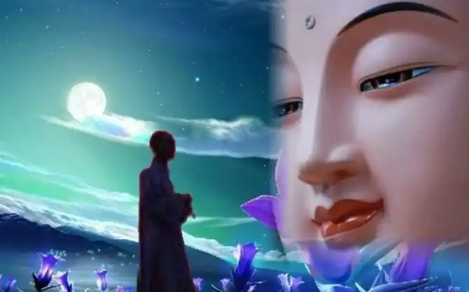 皈依三宝的博客