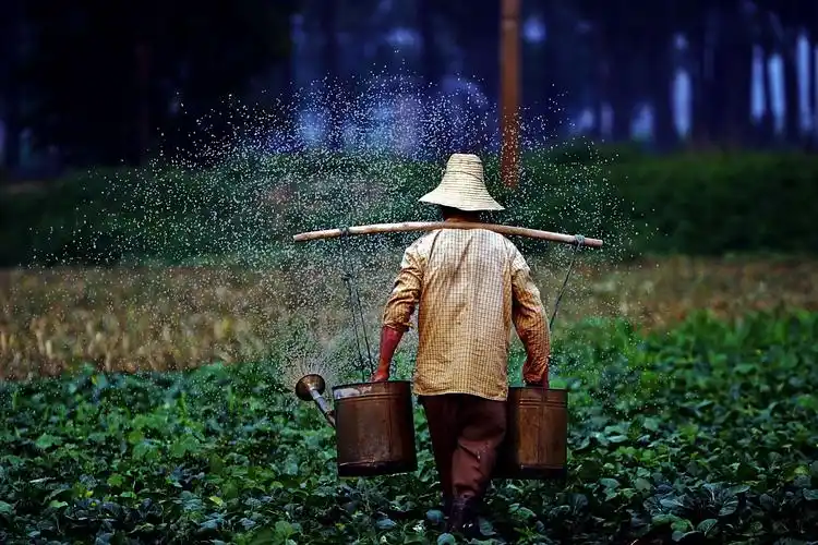 《田间》系列单幅作品之十七