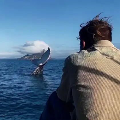 男头像背影超清帅气好看的男生看风景背影帅气头像图片(10张)_男生头