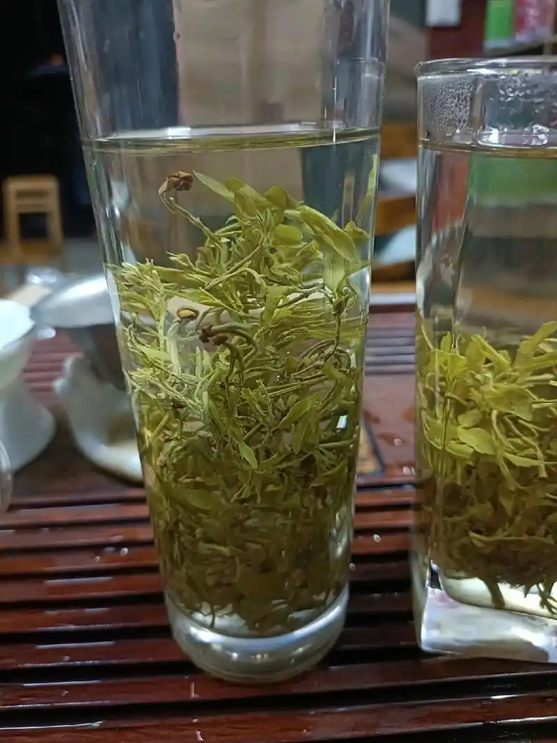 广西三江野生藤茶 - 抖音