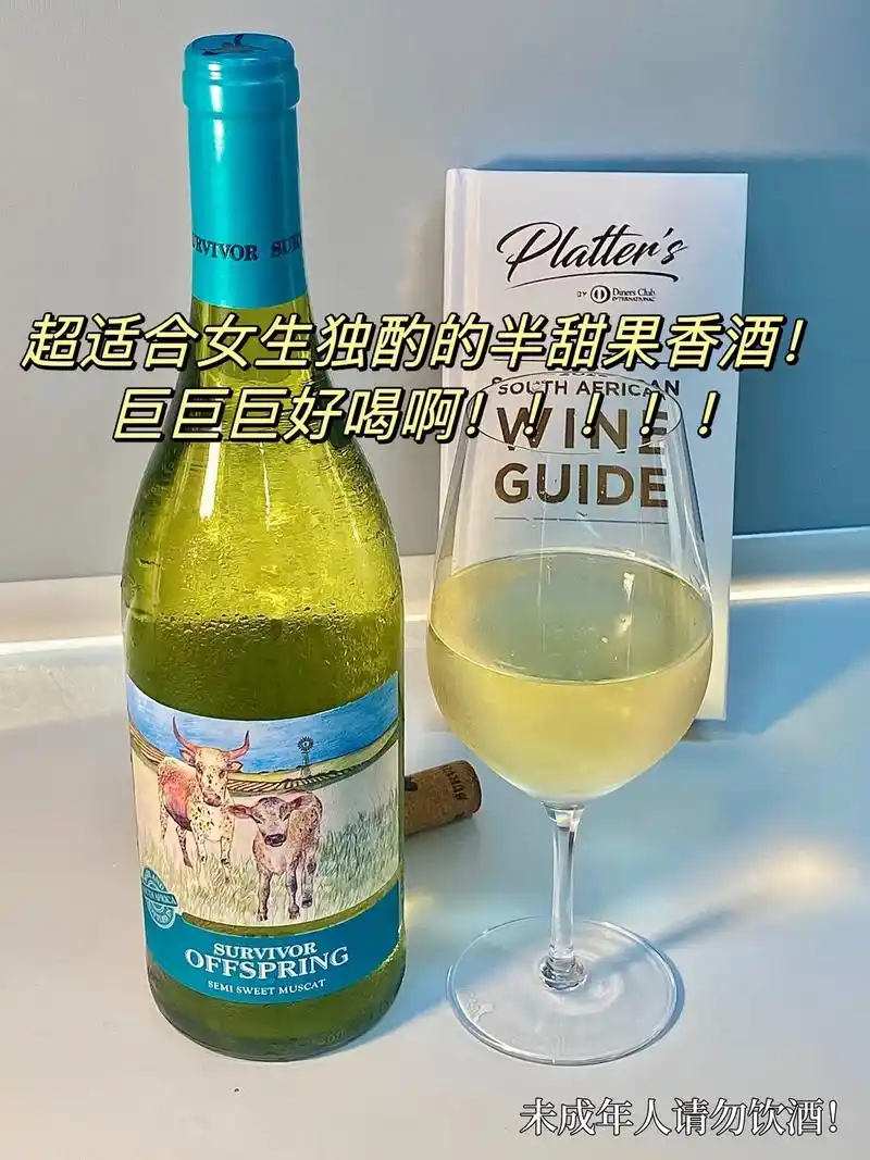 超适合女生独酌的半甜果香酒!巨好喝!