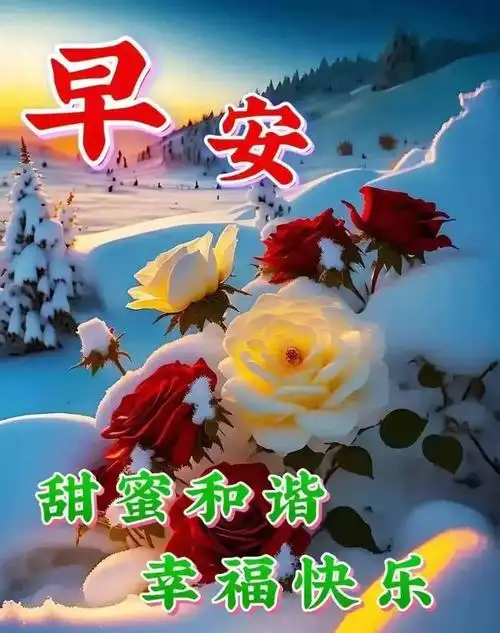唯美暖心早安问候图片,早安漂亮图片问候祝福语