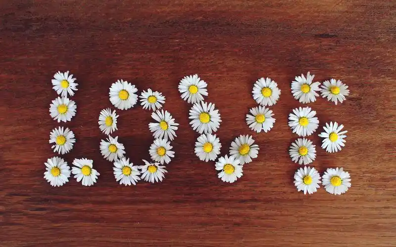 创意英文图片高清电脑桌面壁纸