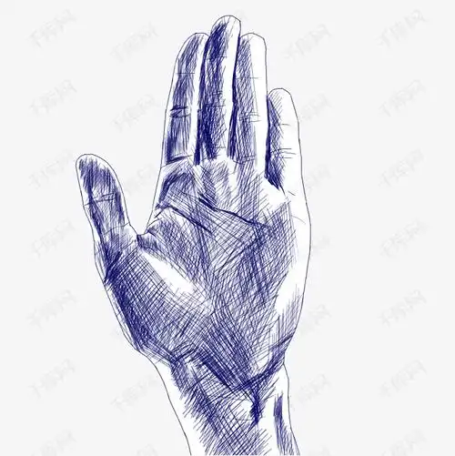 手掌素描插图装饰