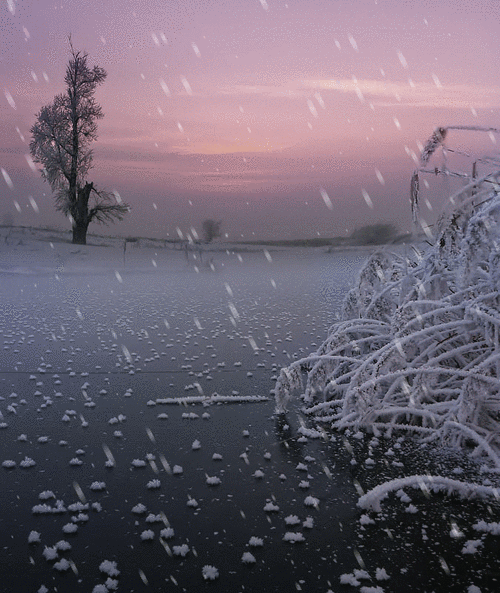 675_800gif 动态图 动图