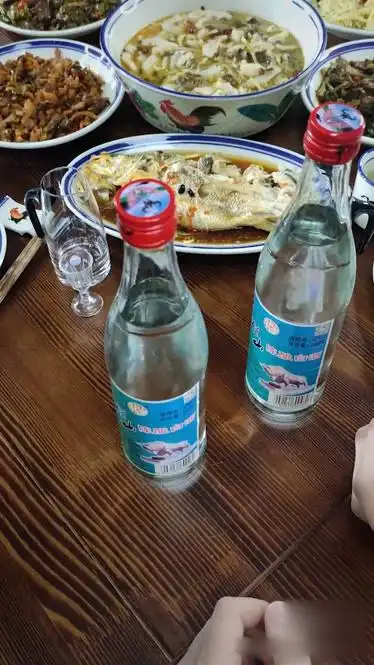 请老师喝牛栏山竟然还是假的?-生活-完整版视频在线观看-爱奇艺