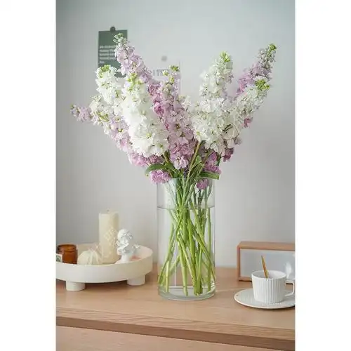 紫罗兰如何插瓶 紫罗兰怎么插瓶好看