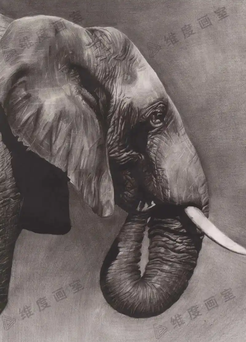 一起学画画 #超写实 精微素描不在于有多像而在于把物体 - 抖音