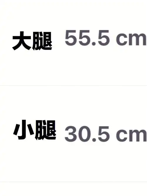 因为我臀围也大,93cm,我就属于只有小腿瘦,什么吊