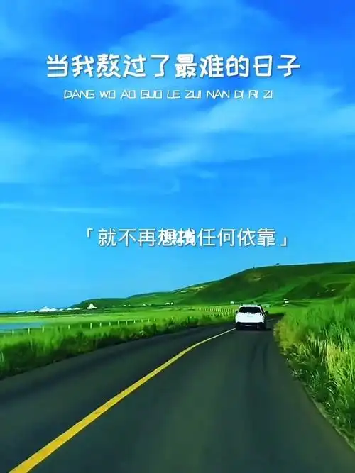 当我一个人熬过了最难的日子就不在想找任