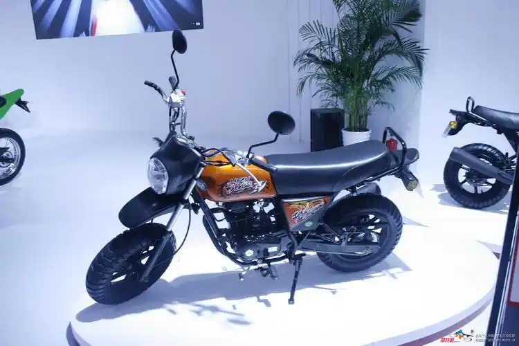 lifan 100-c 上海已上市 组织赛事 摩旅 - 三轮 迷你 - 摩托车网站