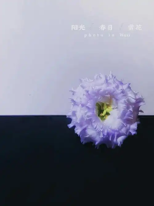 立深蓝雾40578青霓78