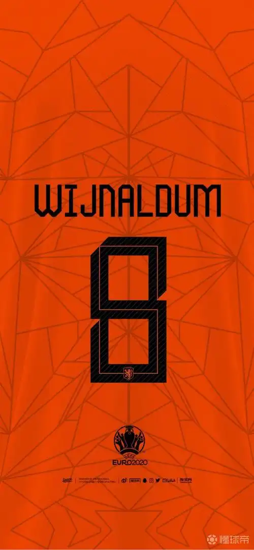 荷兰国家队2021款主场球衣印号壁纸(重置版)d.