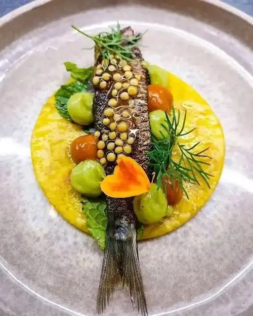 摆盘设计米其林餐厅先锋精致菜品239季