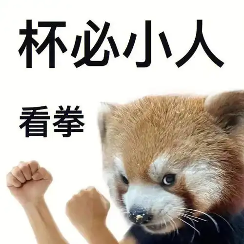 阴阳人表情包分享杯必小人看拳