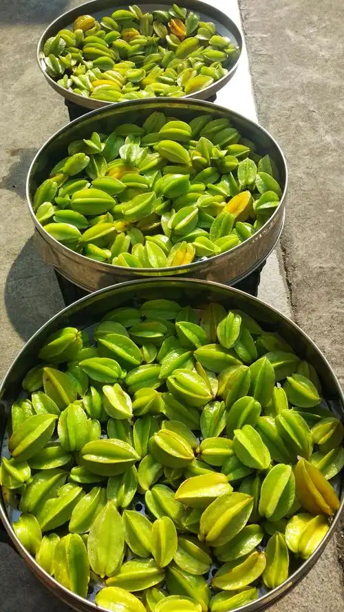 酱山杨桃的前世与今生