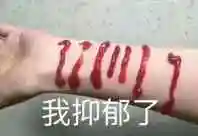 到点了我该抑郁了微信表情包斗图表情