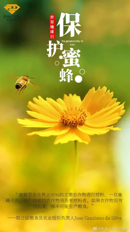 保护蜜蜂也是保护我们自己