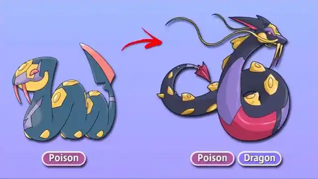 神奇宝贝:宝可梦超级进化,饭匙蛇变成毒龙,太阳珊瑚变得很可爱