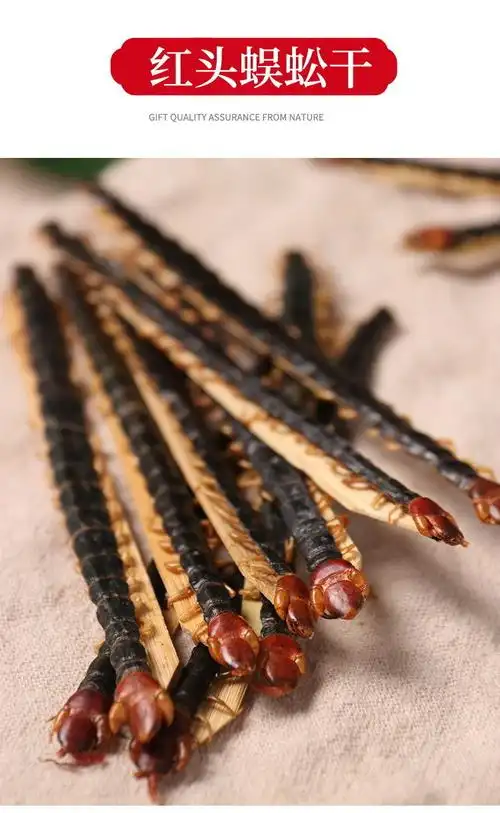 蜈蚣中药材蜈蚣干川足百足虫红头大蜈蚣另售蝎子全蝎水蛭1112公分10条