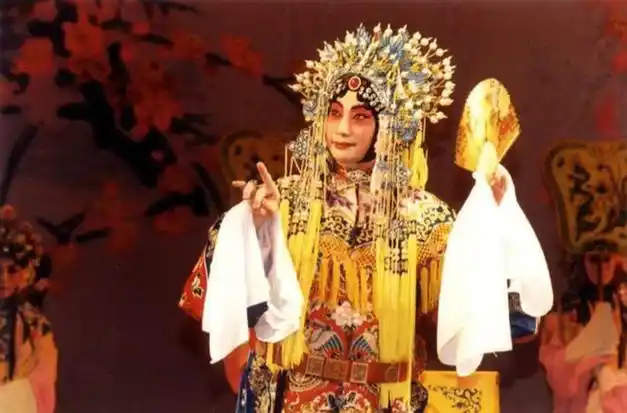 回顾林丽源与梅葆玖恩爱一生却没有生下一儿半女晚年与猫相伴