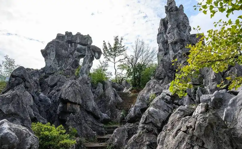 一石林"千岛湖石林,江南罕见的地质奇观,壮观且秀丽_景观_奇特_风景区