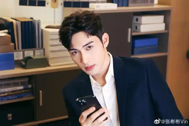 张彬彬徐燕时霸总护短