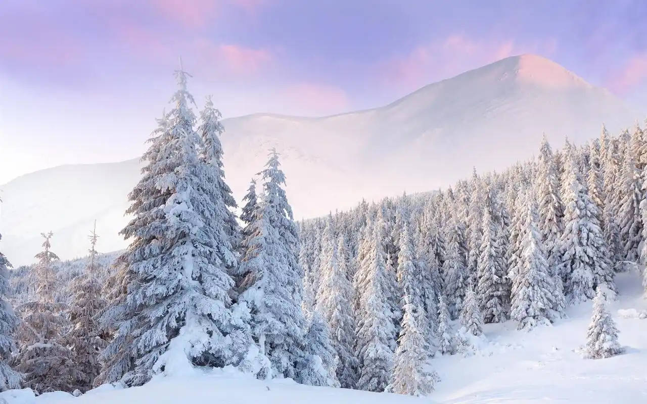 寒冷的冬天,森林,山,厚厚的白雪,黎明 壁纸 - 1680x1050