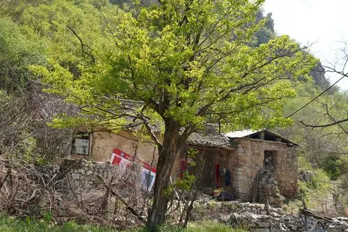 原创深山人家大门紧锁山坡上放黄牛院子里跑土鸡主人身份神秘