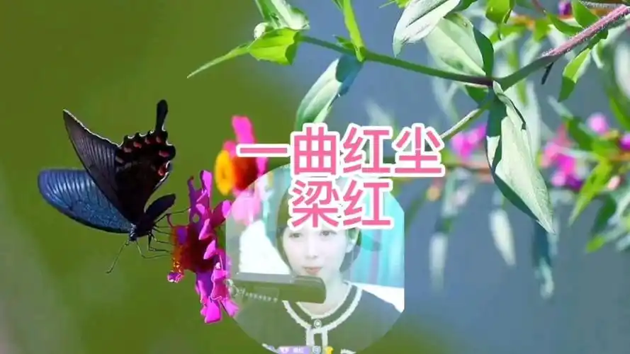梁红一首经典歌曲一曲红尘旋律优美歌声感人好听