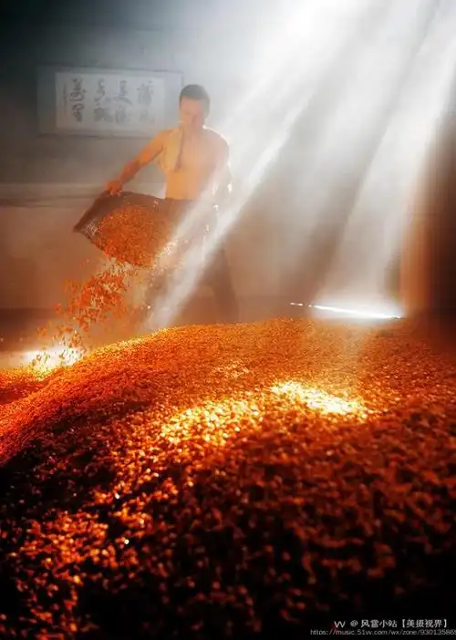 大国工匠酿酒师