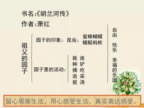 人教版语文五年级下册7,祖父的园子(教学视频)