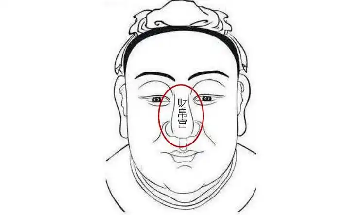 面相财帛宫详解
