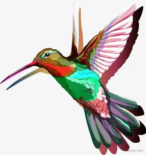 卡通手绘彩色的小鸟png素材透明免抠图片-动植人物