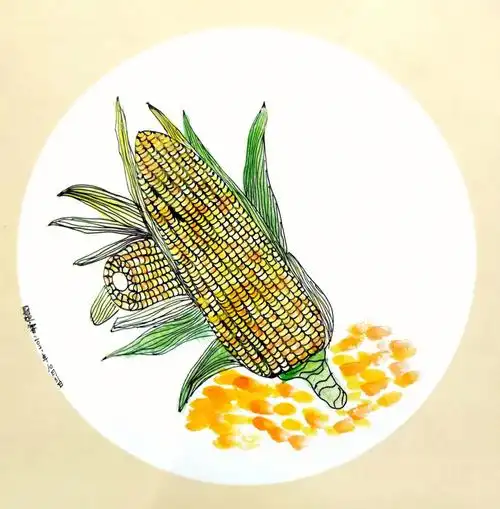 三年级学员写生线描玉米