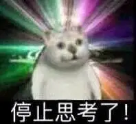 mur猫表情小合集