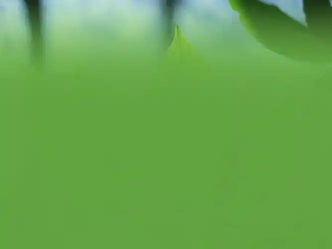 ppt绿色背景图片,浅绿色桌面背景素材图 - ppt之家