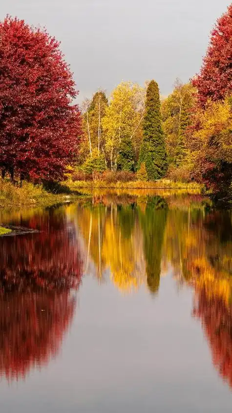 漂亮风景图片 漂亮风景图片最美大自然 | 多想派