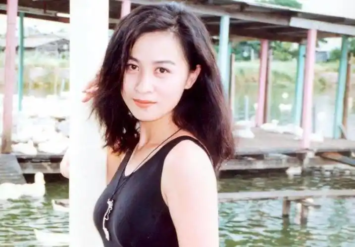 在某场宴会上,许晋亨经过吴君如的介绍结识了年轻漂亮,刚涉足娱乐圈不