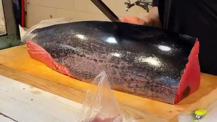 你们吃的金枪鱼是这样处理来的