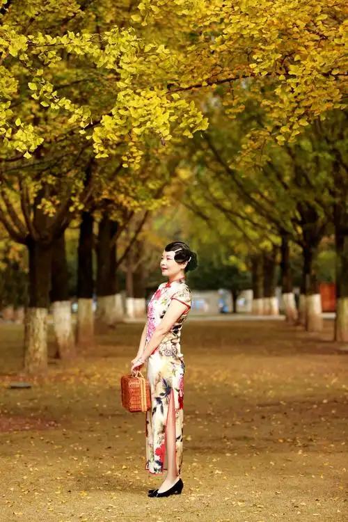 银杏 旗袍 - 美篇