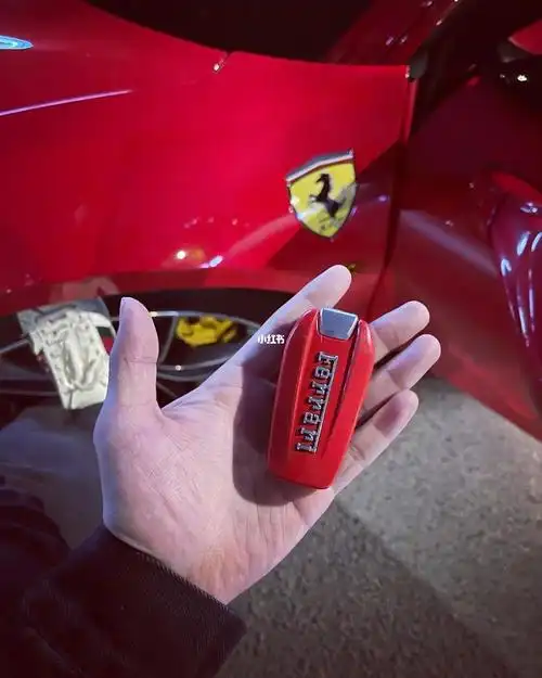 由于粗心大意 昨晚在成都339遗失法拉利488gtb车钥匙一把 本人万分