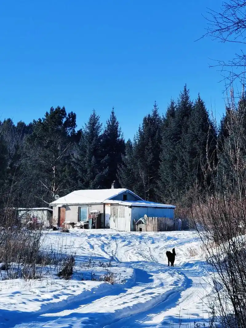 宁静的治愈.在东北的小城里,冬日的乡村被厚厚的白雪掩埋,宛如 - 抖音