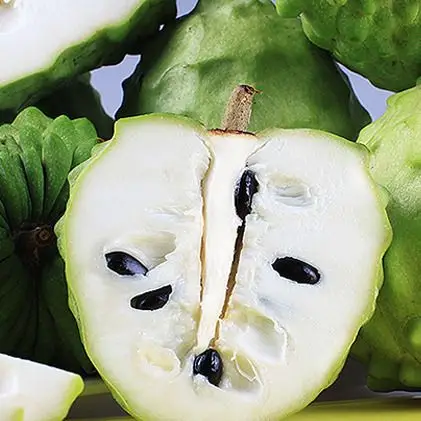 拍2份送1斤 海南水果新鲜释迦果番荔枝佛头释迦摩尼果释迦