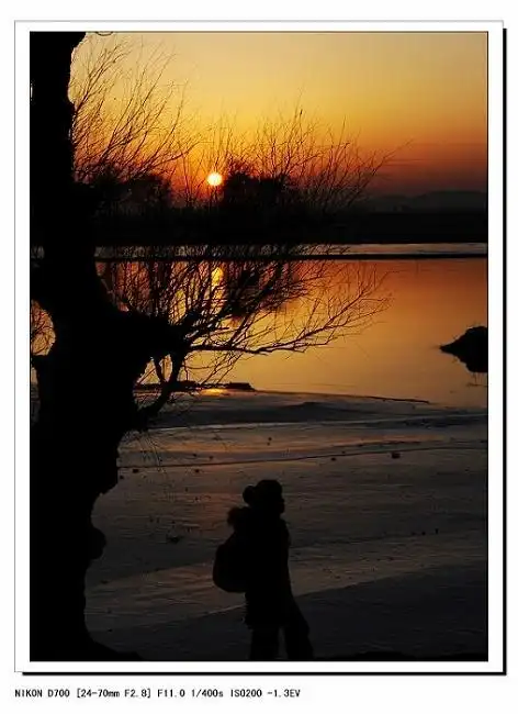 谁有夕阳西下,断肠人在天涯的图片